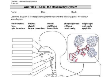 Cambridge Technical Diploma in Sport and Physical Activity (CTEC)