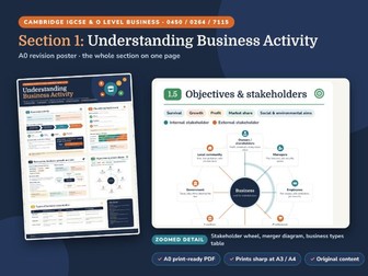 IGCSE Business Section 1 Revision Poster