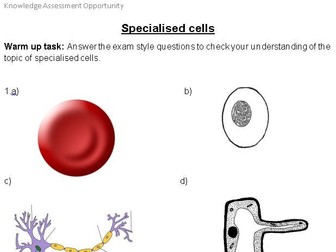 Specialised cells formative assessment/test/quiz