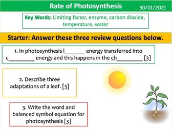 The Rate of Photosynthesis