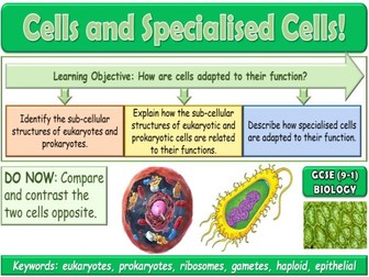 Cells and Specialised Cells GCSE (9-1) Biology
