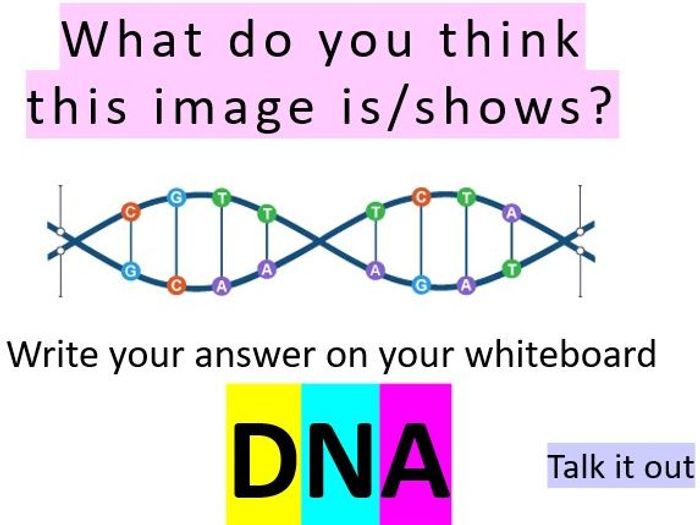 KS3 What Is DNA Biology Lesson Teaching Resources   WhatisDNA.crop 573x430 0%2C5.preview 