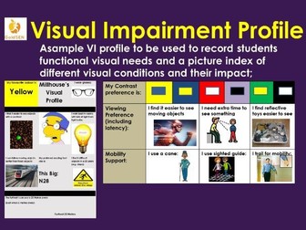 Visual Impairment Profile