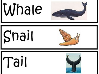 The Snail and the Whale Key words