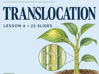 AQA A-Level Biology: Translocation and Mass Flow – PowerPoint with Answers