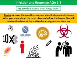 Infection and Response (Diseases) AQA 1-9 Combined