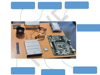 Computer Hardware and Software worksheet