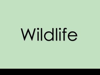 Sustainability - Wildlife