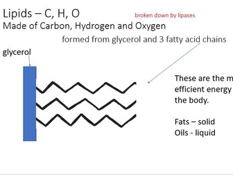 The Chemistry of Food