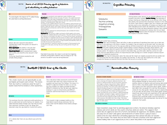 BTEC Applied Psychology Cognitive Approach Flashcards