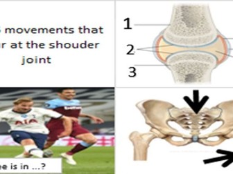 Skeletal & Muscular Systems Learning Grid (GCSE PE)