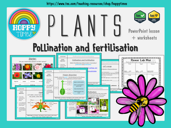 Parts of a Flower. Pollination and Fertilisation Lesson