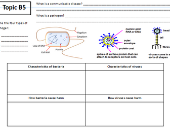 B5 Communicable Diseases Worksheet/Powerpoint