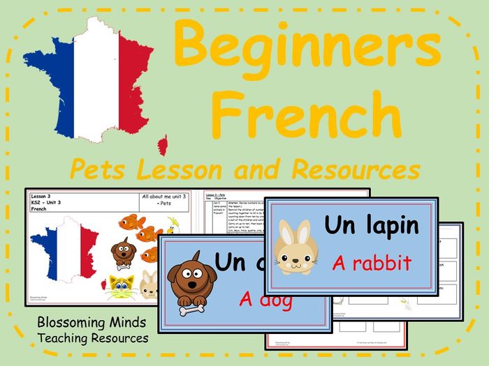 French Lesson Bundle - Family Members, Clothes And Pets | Teaching ...