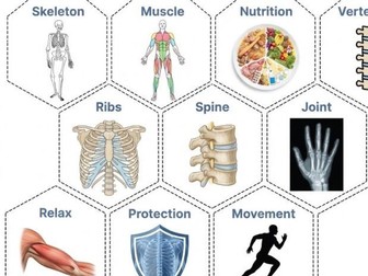 Year 3 Science Units - Hexagonal Thinking