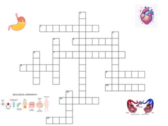Organisation in Humans Crossword - AQA Biology GCSE with answers