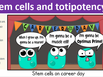 AQA A-level biology: 20.2 Stem cells and totipotency