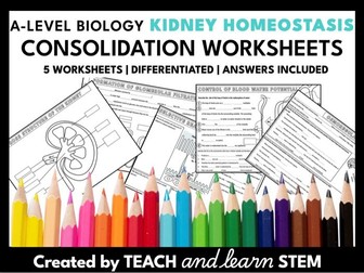Kidney Homeostasis A-level Biology Summary Worksheets