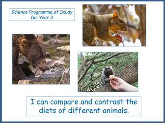 Compare and Contrast the Diets of Different Animals