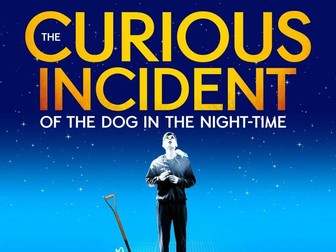 The Curious Incident of The Dog in The Nighttime Drama SOW