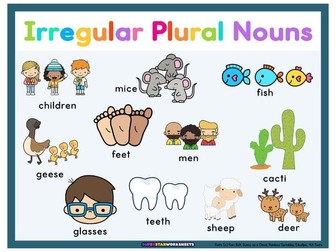 Irregular Plural Nouns English Functional Skills Lesson TAN