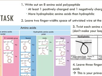 Interactive intro to Biochemistry session for GCSE students