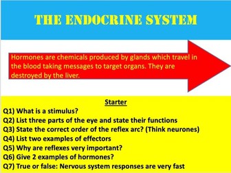 Hormones and the endocrine system