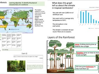 Weather and Climate GCSE Tropical Rainforests L1