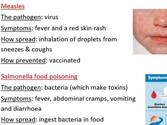 Communicable Disease. GCSE. PP, Factsheet, Test