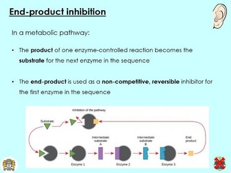 OCR A - End-product-inhibition in enzymes