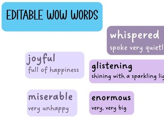 Wow Word Display Cards | EDITABLE Adjectives, Verbs & Adverbs (27 Word Set)