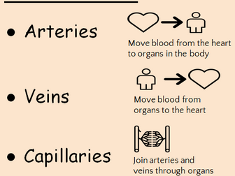 Blood & Blood Vessels (GCSE & Exploring Science 7C)