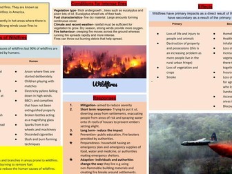 Hazards Knowledge organiser  KS5