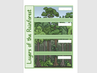 Layers of the rainforest flip information book