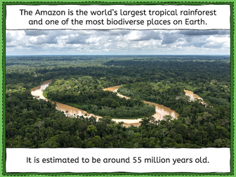 Exploring the Amazon rainforest - KS2