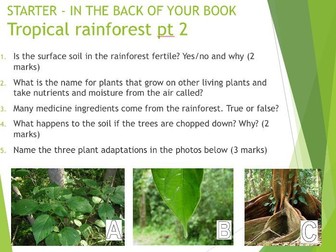 AQA Living world RAINFOREST recap starter questions