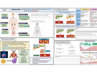AQA GCSE Homeostasis (Whole Unit)