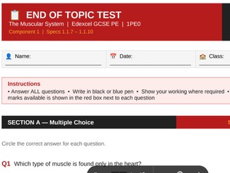 Muscular System | Edexcel GCSE PE | End of Topic Test + Mark Scheme