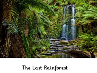 Year 6 SATs Style Comprehension Questions - The Last Rainforest