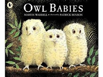 Owl babies plan and resources - 2 weeks