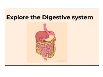 Interactive Digestive System Diagram PowerPoint | Human Body Organs Activity