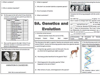Revision 9A Genetics and Evolution (Exploring Science): Revision mat and Battleship game