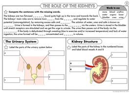 excretion ws2