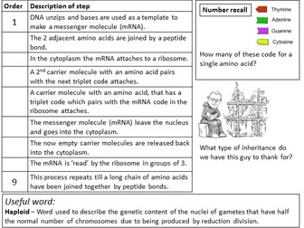 AQA 9-1 B6 Genetics Revision sheets