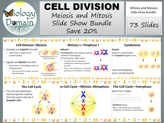 Cell Division: Mitosis and Meiosis Slide Shows Bundle