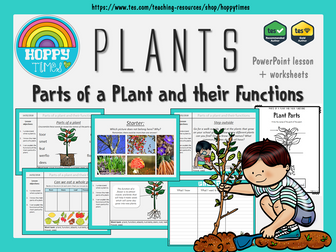 Parts of a Plant Lesson