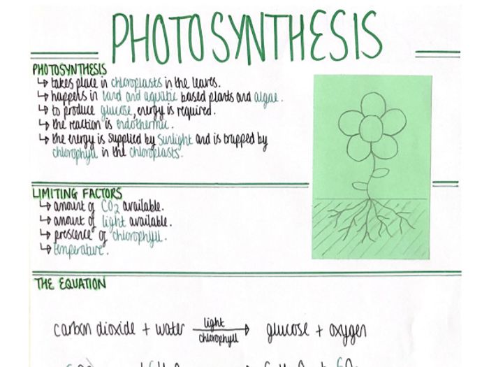 Photosynthesis (Bioenergetics) Revision Poster [AQA GCSE Biology Double ...