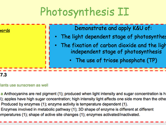 Photosynthesis for OCR 2015 part 2