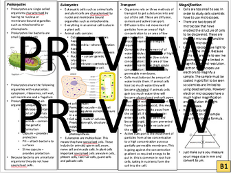AQA B1 Cells and B2 Cell Differentiation Knowledge Organiser