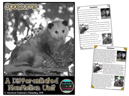 Differentiated Nonfiction Unit: Opossums